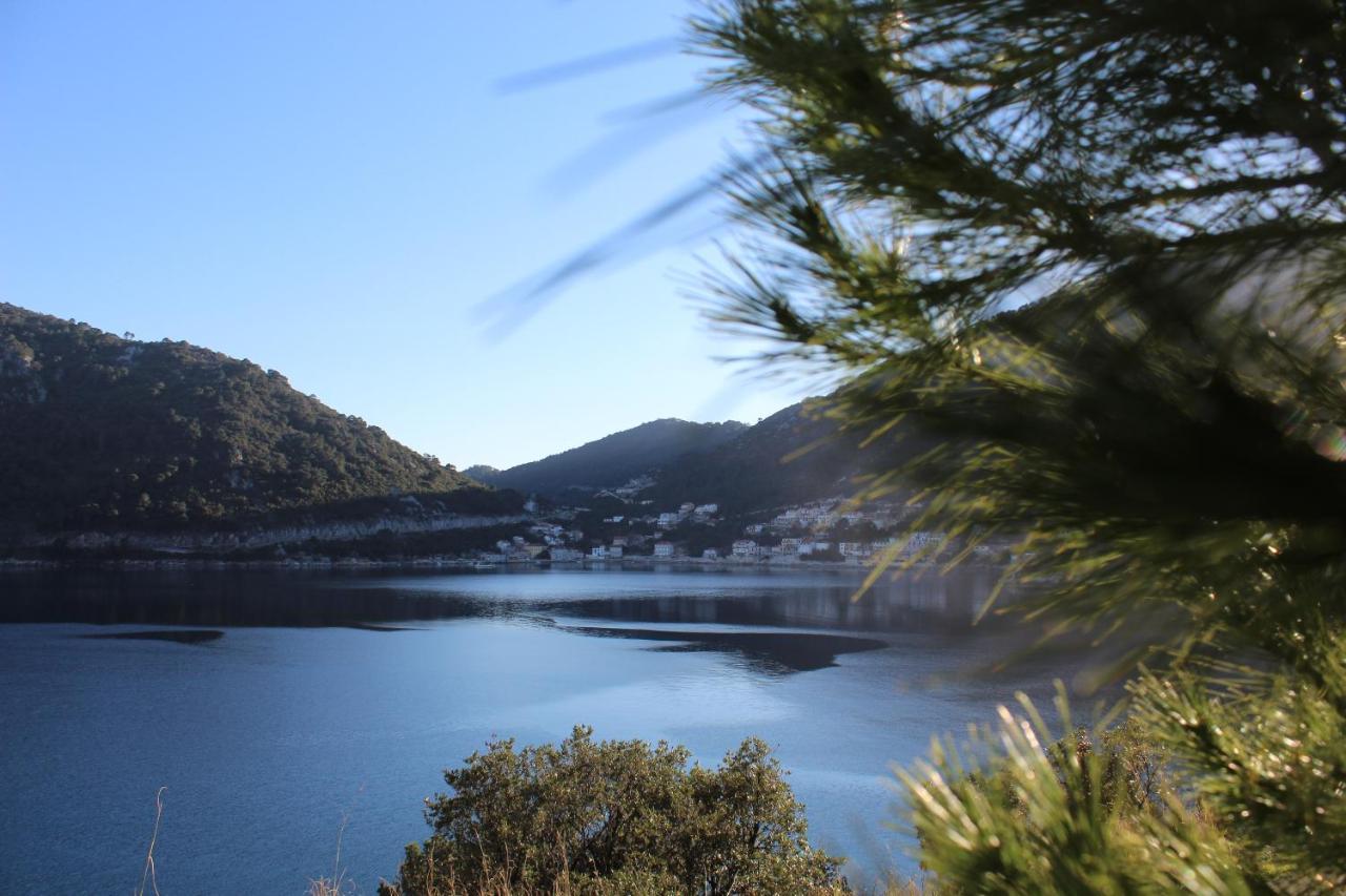 Sobra Apartment Marija Mljet 4 מראה חיצוני תמונה